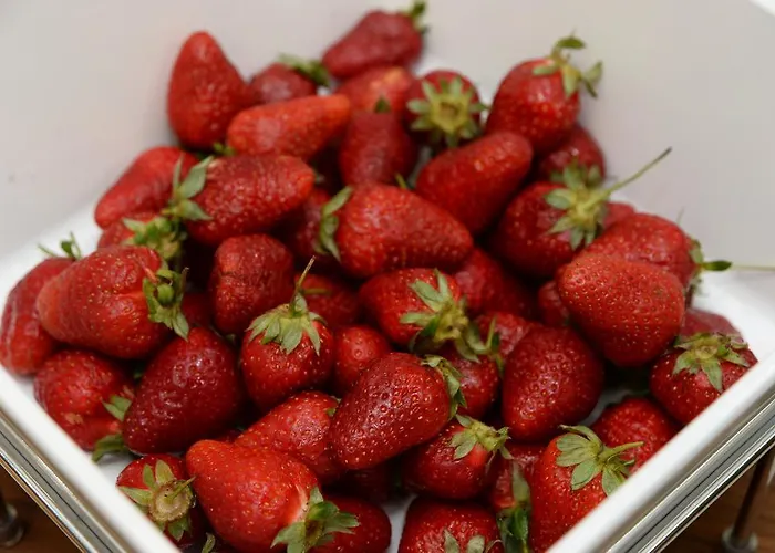 Hotel Alexandar Square Boutique Skopje